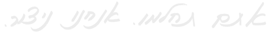 dreamof11